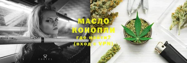 spice Гусев