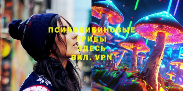 бошки Гусиноозёрск