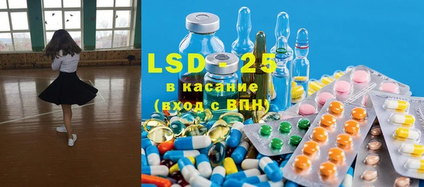 spice Гусев