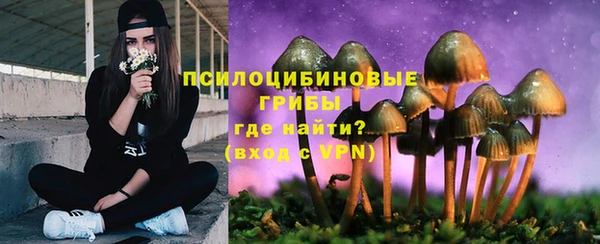 бошки Гусиноозёрск
